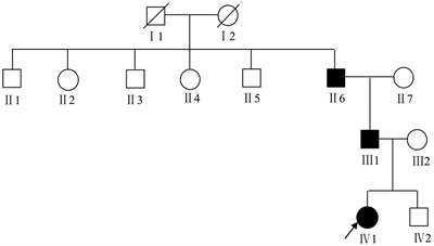 Identification of a Novel Mutation in SASH1 Gene in a Chinese Family With Dyschromatosis Universalis Hereditaria and Genotype-Phenotype Correlation Analysis